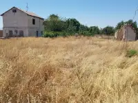 Продаётся дачный участок, фотография 5