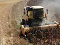 Жатка для уборки подсолнечника Elibol Freesun 550 на комбайн, фотография 7