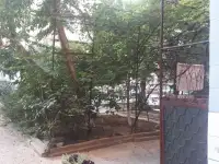 3х Комнатная Своя, 78м2, 1й этаж, серия 77, кирпич, фотография 4