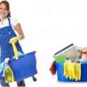 Special cleaning service подбор домашнего персонала, фотография 2