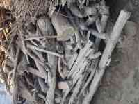 Утин сотилади, фотография 3