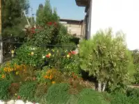 продажа дома, Шоликор МФЙ  ул.Маданият41   Урта-Чирчик район, фотография 10