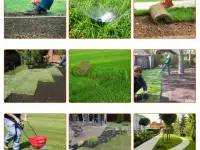 Комплексный уход за газоном и Хвойными, фотография 4