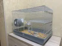 Продается хомяк, фотография 2