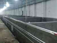 Продаётся рыбное хозяйство, готовый бизнес., фотография 6