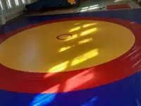 Татами спортивные маты, фотография 12