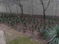 Sro4no prodaetsya dom 6.8 sotok, Tashkent Uzbekistan Maishiy Xizmat, фотография 6