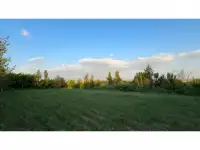 Бывший пионерский лагерь, Краснагорск, фотография 7