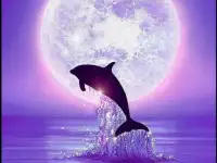 Изобразительное искусство, фотография 3