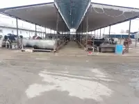 Ферма сотилади, область, Янгиюльский район, фотография 5