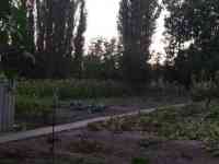 Участок,дом, Таш.обл, фотография 10