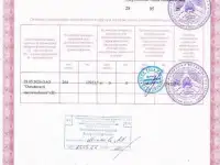 Говядина охлажденная из Белоруссии халяль с первых рук, фотография 3