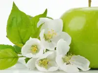 Отдушки, фотография 8