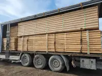 Производитель предлагает оцилиндрованное и окоренное бревно 10-16см без коры., фотография 4