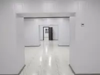 Ц-1 Аренда коммерческого помещения в центре 270 м2 ор-р 6 роддом 2 900 у.е., фотография 4