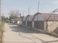 10 га Новый Ташкент, фотография 6