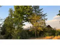 Бывший пионерский лагерь, Краснагорск, фотография 5