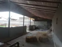 Продажа Ферма Дача, ТашОбл Юкори Чирчик Янги Бозор дахаси, фотография 9