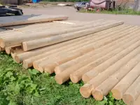 Лес кругляк сосна, фотография 10