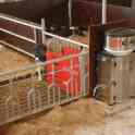 Автоматизированная система выпойки телят Lely Calm, фотография 5