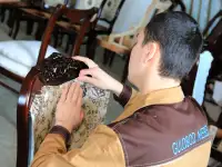 Плотник по мебели / Уста дурадгор, фотография 5