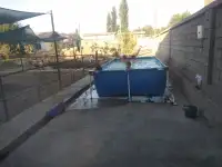 Продажа Ферма Дача, ТашОбл Юкори Чирчик Янги Бозор дахаси, фотография 6