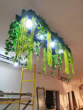 Исскуственное озеленение на стену, Самшит, фотография 4