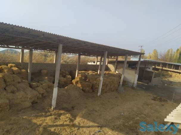 База для сельхоз. или др. бизнеса в Ташобласти, 57 соток. От хозяина, не риелтор., фотография 5