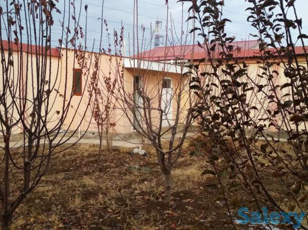 Продается Дом в Юкара Чирчикском районе возле Водника, фотография 5