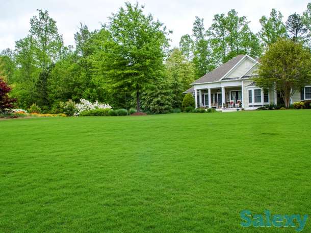 Дизайн экстерьера ландшафтный дизайн, беседки из массива летние кухни, фотография 5