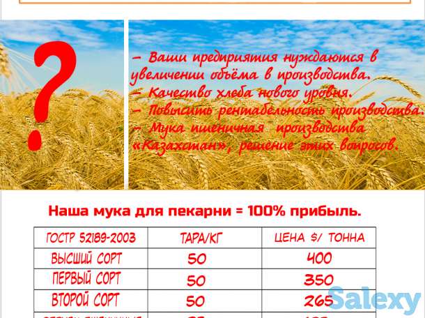 Отруби и мука пшеничная оптом по выгодным ценам из Казахстана., фотография 2