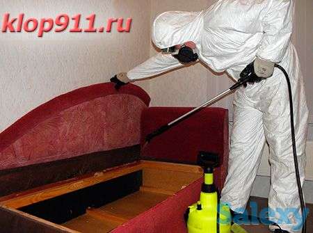 Дезинфекция от насекомых тараканов клопов скорпионов 100%без запаха ., фотография 1