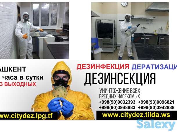 Компания 