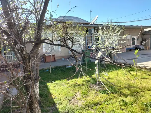 4,65 сот 5 ком 150 м.кв., фотография 2