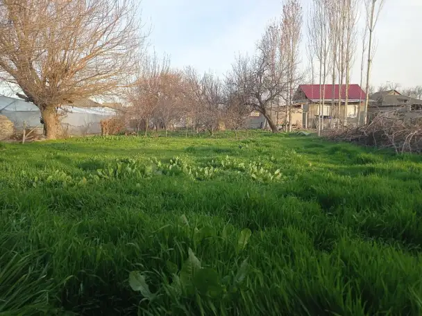 Продаётся Дом! Рядом всё необходимое: Школа, садик, магазины, автосервис!, фотография 5