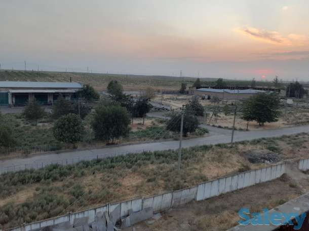 Срочно ! Продается ферма в Ахангарнаском районе, фотография 6