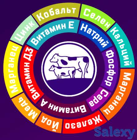 Надёжная защита здоровья быков, коров и овец, фотография 2