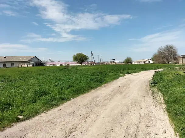 10 га Новый Ташкент, фотография 3