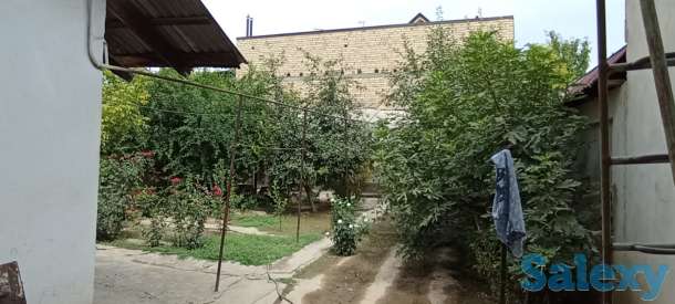 Дом с участком, ул Машинасозлар 12, фотография 1