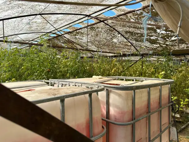 Продажа земли сельскохозяйственного назначения, Toshkent viloyati, Yangiyo'l tumani, Qora tepa MFY, Guliston ko'chasi, 56-uy., фотография 5