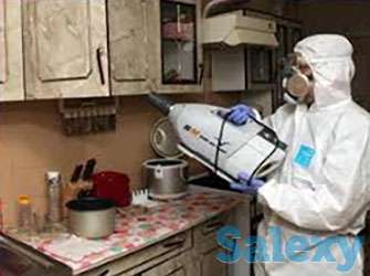 Борьба насекомое холодный Горячий туман звонить, фотография 1