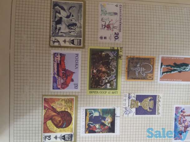 Маркигг., фотография 4