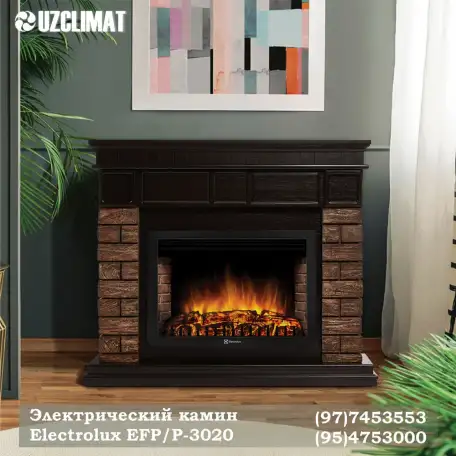 Электрокамин  Electrolux, фотография 1