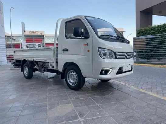 FATON  Gratour TM300 2 SEATS    2 местный, фотография 2