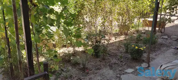 Продается 3х комнатная квартира в таш обл Карасу, фотография 2