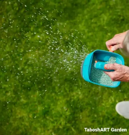 Комплексный уход за газоном и Хвойными, фотография 3