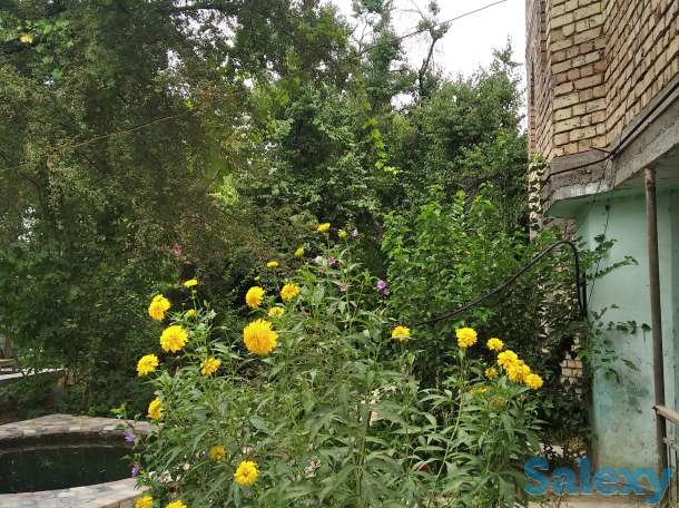 Коттедж практически в Ташкенте, Ташгрэс, фотография 3