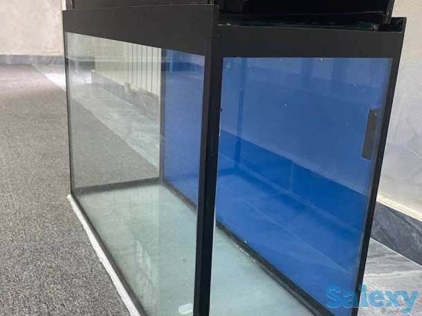 Akvarium, фотография 3