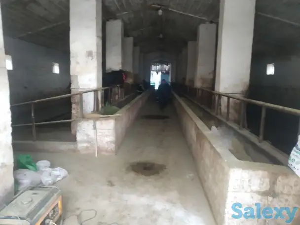 Ферма сотилади, область, Янгиюльский район, фотография 8