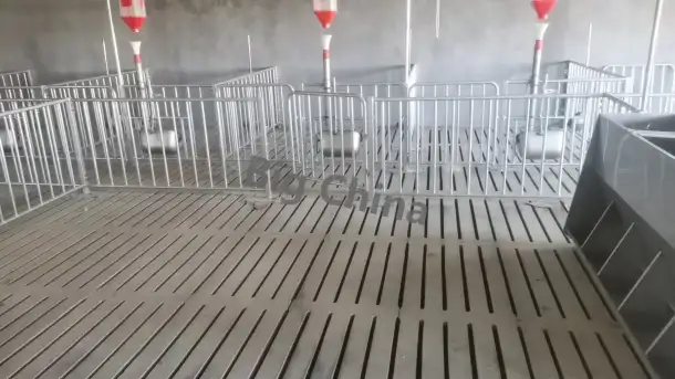 Оборудование Big Ducthman для свинокомплекса по выращиванию свиней из Китайского производителя., фотография 11